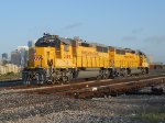 UPY 2109  28May2011  Resting up in the yard west of Sampson Street for a hard hot Saturday morning of yard work 